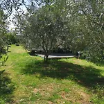 Large Camper In The Olive Grove Banjole