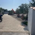 Large Camper In The Olive Grove *