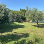 Large Camper In The Olive Grove *