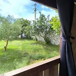 Large Camper In The Olive Grove Camping *