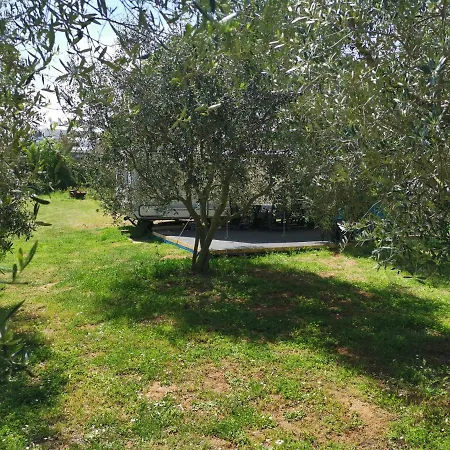 Large Camper In The Olive Grove באניולה