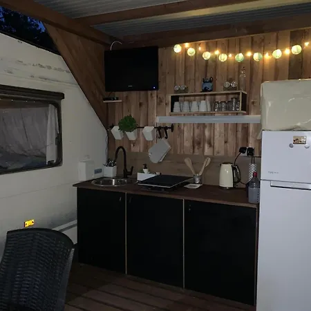 Large Camper In The Olive Grove