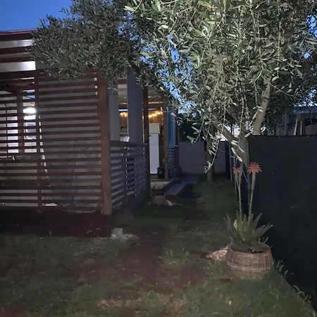 Large Camper In The Olive Grove