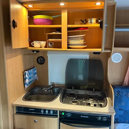 Large Camper In The Olive Grove Campsite Banjole