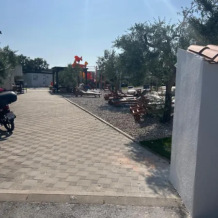 Large Camper In The Olive Grove *