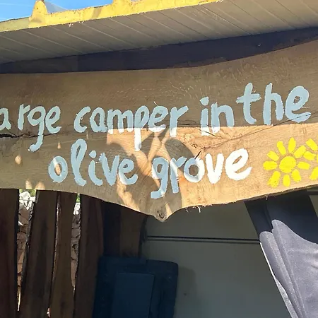 Large Camper In The Olive Grove
