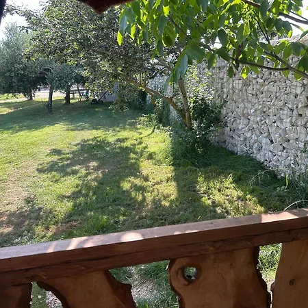 Large Camper In The Olive Grove Campsite Banjole