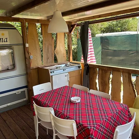 Large Camper In The Olive Grove