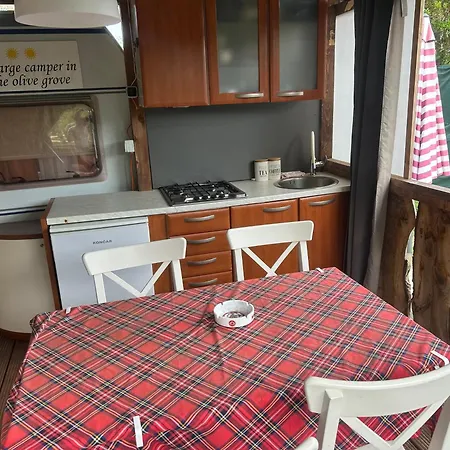 Large Camper In The Olive Grove