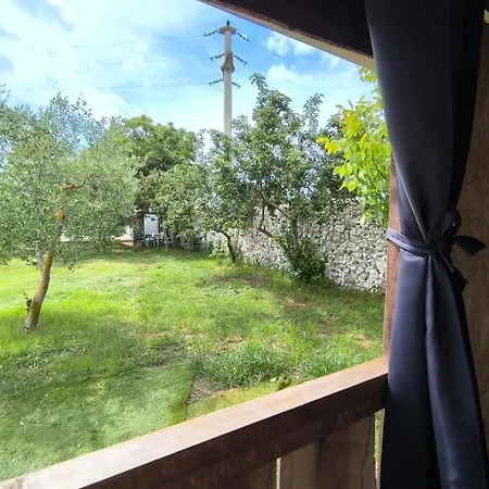 Large Camper In The Olive Grove Camping