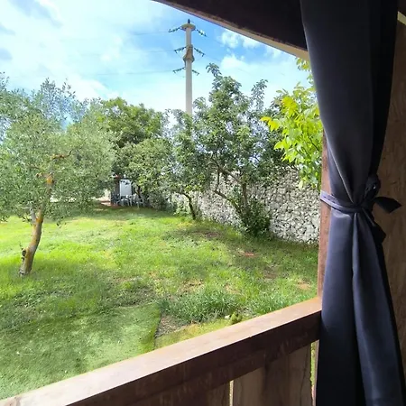 Large Camper In The Olive Grove Camping *