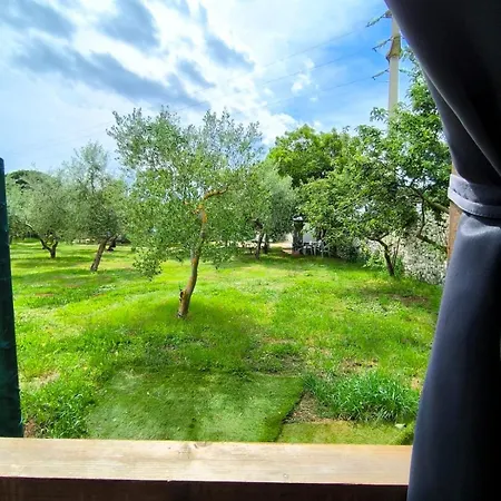 Large Camper In The Olive Grove Camping Banjole