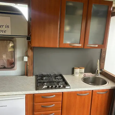 Large Camper In The Olive Grove
