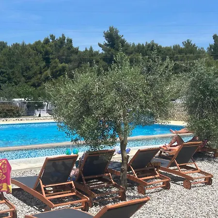 Large Camper In The Olive Grove キャンプ場 バニョレ