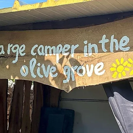 Large Camper In The Olive Grove *