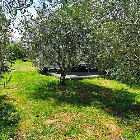 Large Camper In The Olive Grove Kamp *