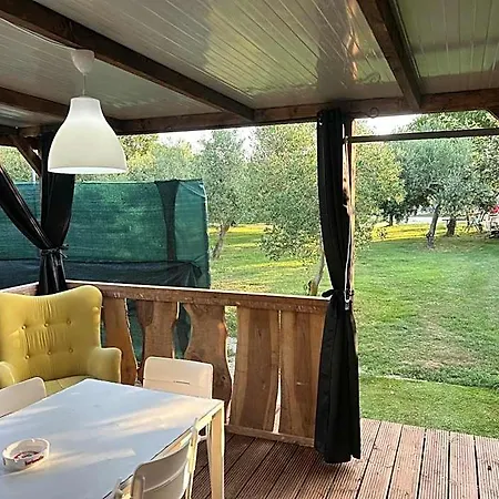 Large Camper In The Olive Grove * Banjole
