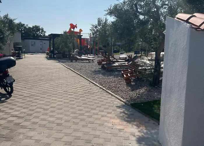 Large Camper In The Olive Grove *